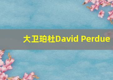 大卫珀杜David Perdue